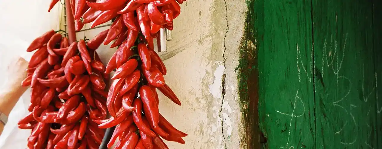 Hanging Peppers header-hanging-peppers-1280x500